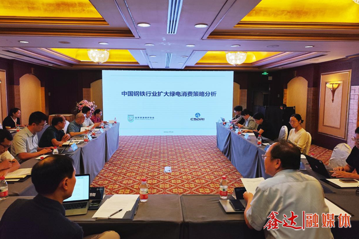 如何更好利用綠電這一減碳利器？——“中國鋼鐵行業擴大綠電消費策略分析”研討會側記